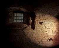 Eine Mauer im Inneren des Zwingers im Schein einer Taschenlampe.