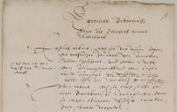 Bild eines Kriminalprotokolls aus dem Jahr 1619