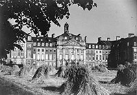 Foto Getreidefeld vor dem Schloss im Sommer 1945
