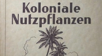 Umschlag des Buchs 'Kolonialbotanik': Unter dem Titel eine Zeichnung mit zwei Palmen an einem Strand.