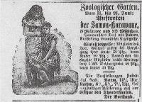 Zeitungsanzeige für eine Völkerschau in Münsters Zoo 1896