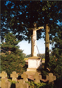 Picture of War Graves