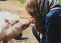Eine Teilnehmende eines Besuchs eines Gnadenhofs nahe Kassel nimmt Kontakt mit einem Schwein auf. 2018.
