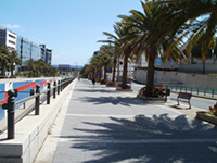 Teneriffa Foto
