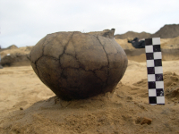Eisenzeitliche Urne aus Handorf