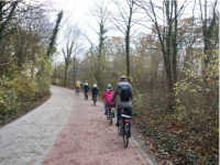 Zwei erwachsene Personen und drei Kinder fahren mit Fahrrädern hintereinander auf einem Radweg.