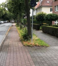 Das Foto zeigt, wie die Piusallee aktuell aussieht