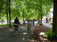 Das Foto zeigt viele Radfahrende auf Münsters Promenade im Sommer.