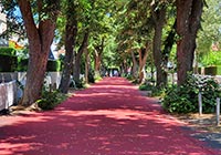 Blick auf eine rote Fahrbahn zwischen Baumreihen
