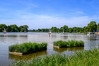 Auf dem Foto sind zwei schwimmende Pflanzzonen abgebildet, hier in der Nähe der Aaseekugeln