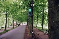 Promande: am Wegesrand steht eine Ampel die grünes Licht zeigt.