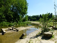 Der Fluss schlängelt sich durch die Wiese.