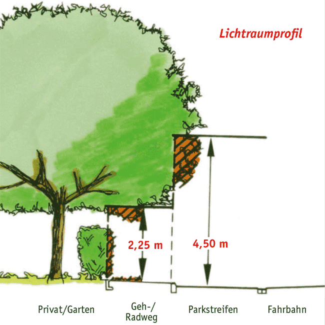 LIchtraumprofil (Grafik: Stadt Münster)