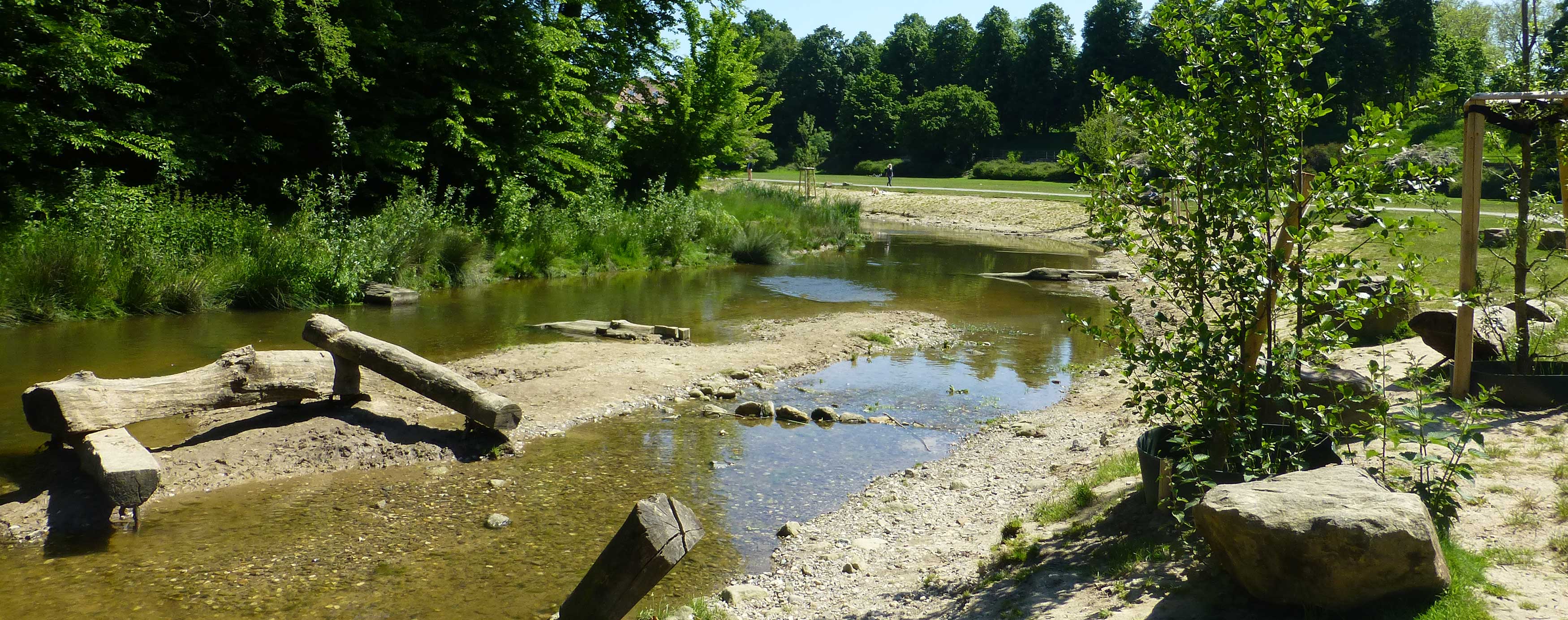 Renautierte Aa an der Westerholtschen Wiese