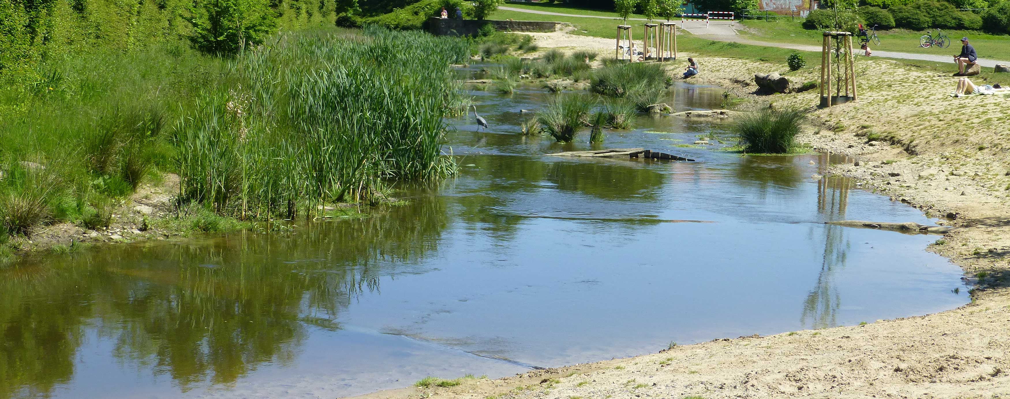 Renaturierte Aa an der Westerholtschen Wiese