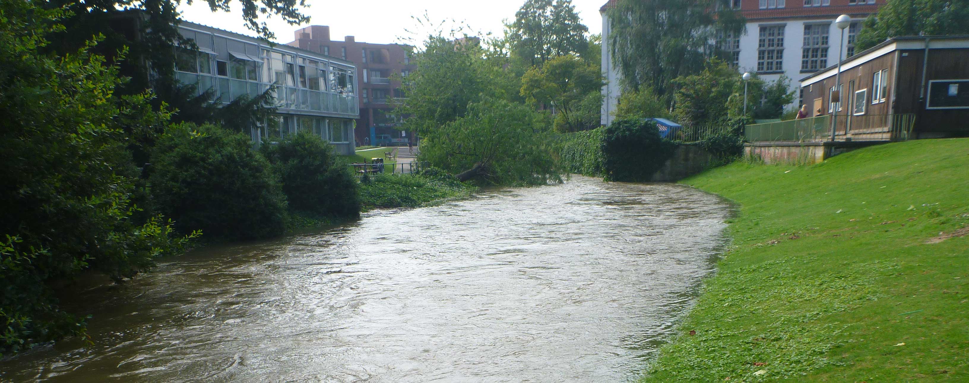 Die innerstädtische Aa nach starkem Regen