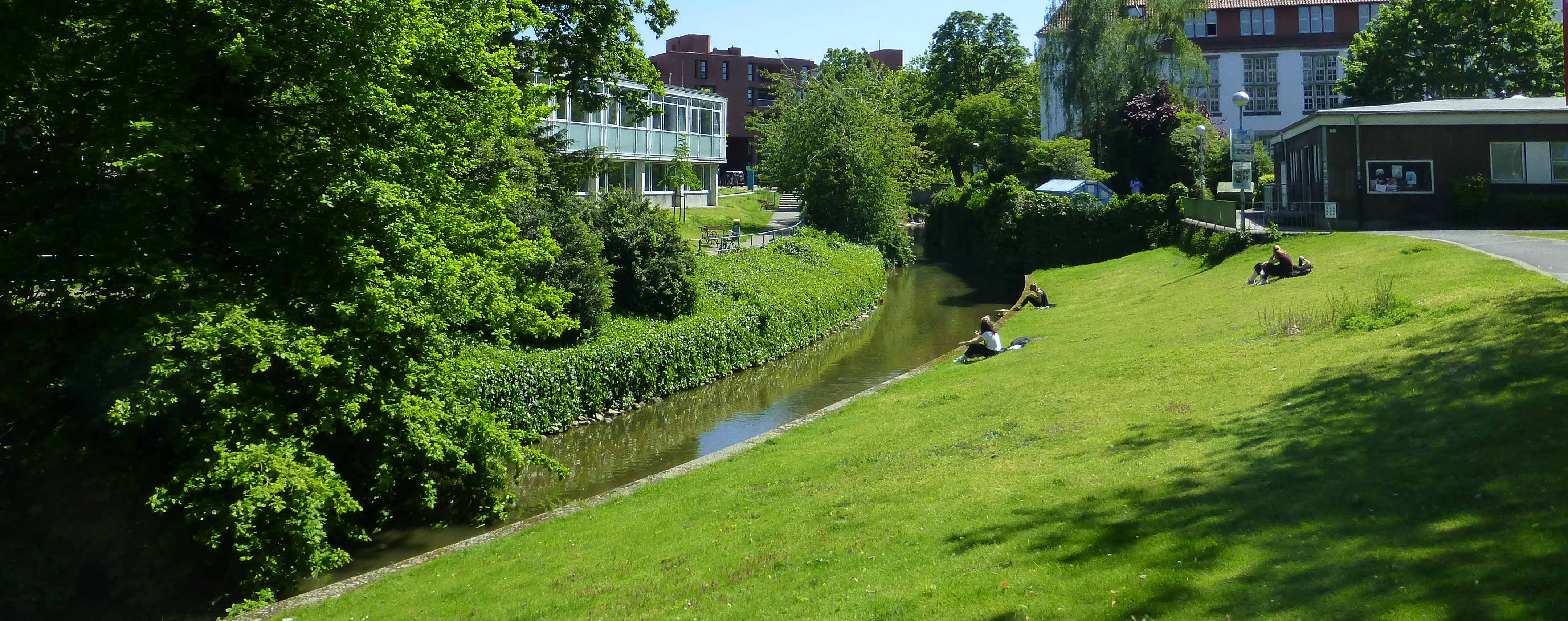 Die innerstädtische Aa im Sommer