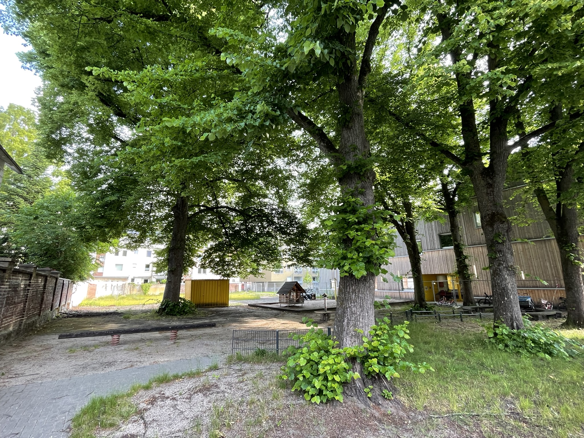 Im Bild: Die Fläche, auf der der Spielplatz entstehen soll. Zwischen einer Mauer und einer Kita ist eine Fläche von ca. 27 mal 55 Metern. Im Vorderen bereich stehen fünf alte Linden ein paar alte Spielgeträte. im hinteren Bereich ist eine freie Wiese.