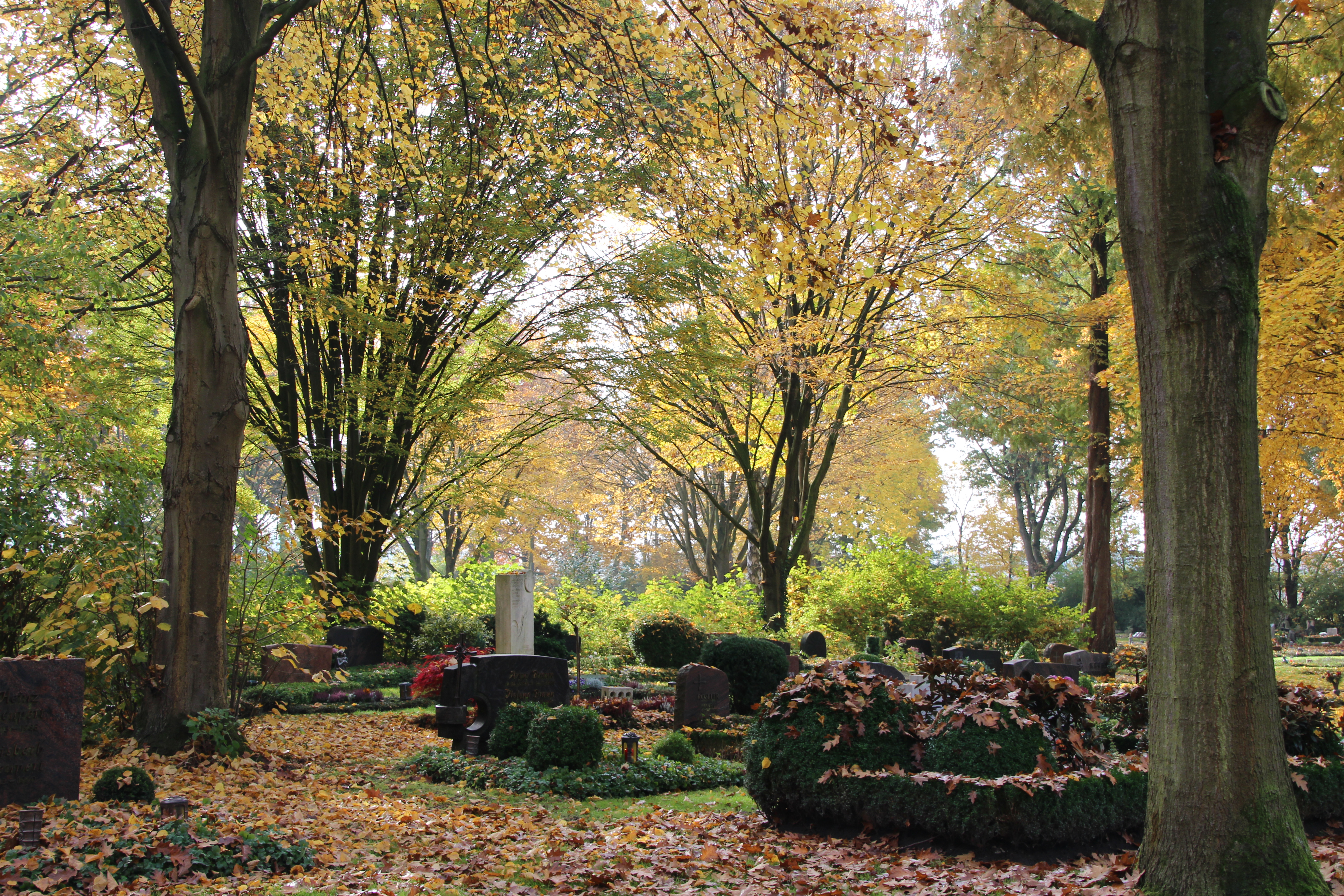 Foto: Friedhof im Herbst