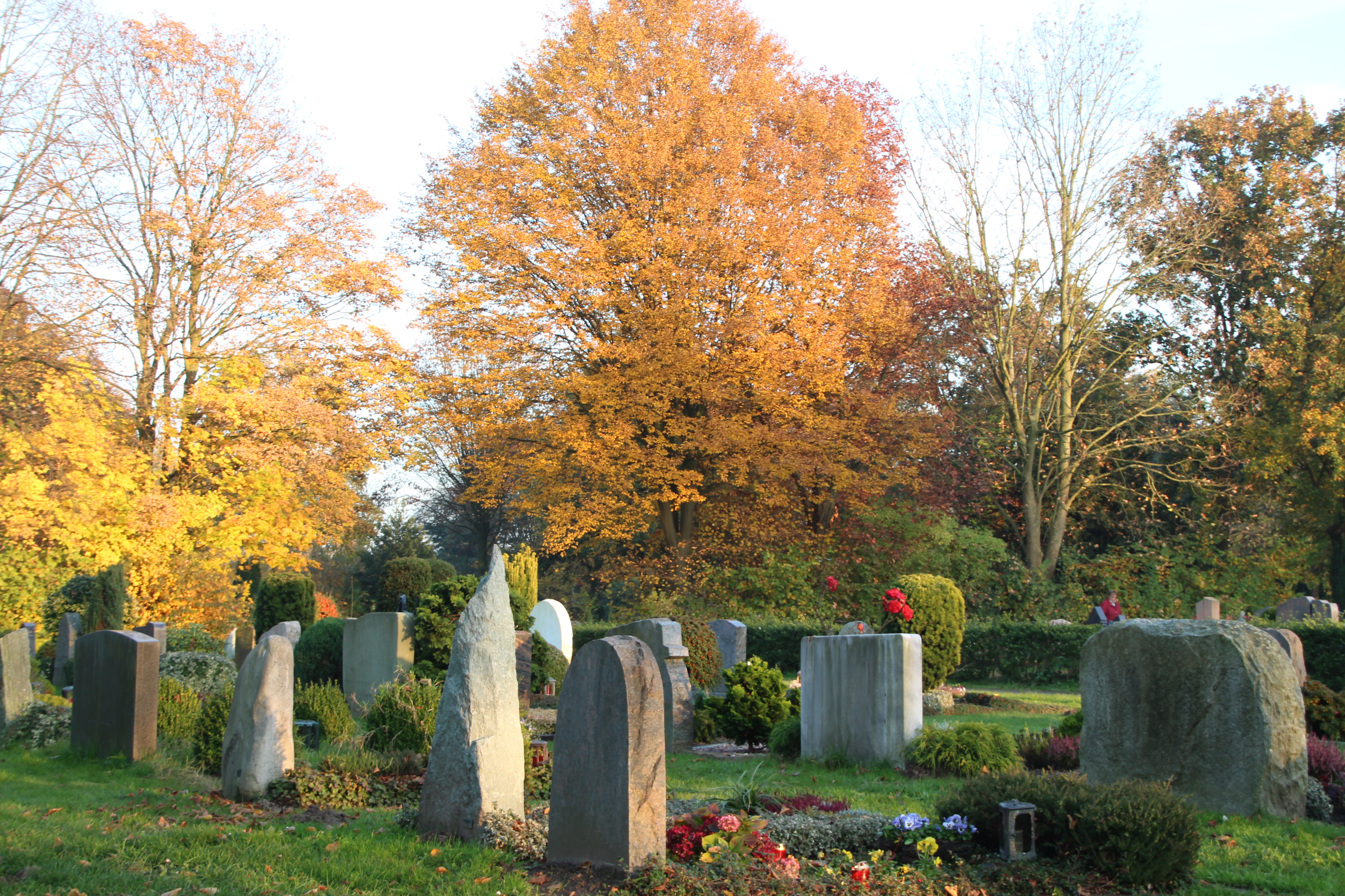 Foto: Herbstimmung auf dem Friedhof Wolbeck