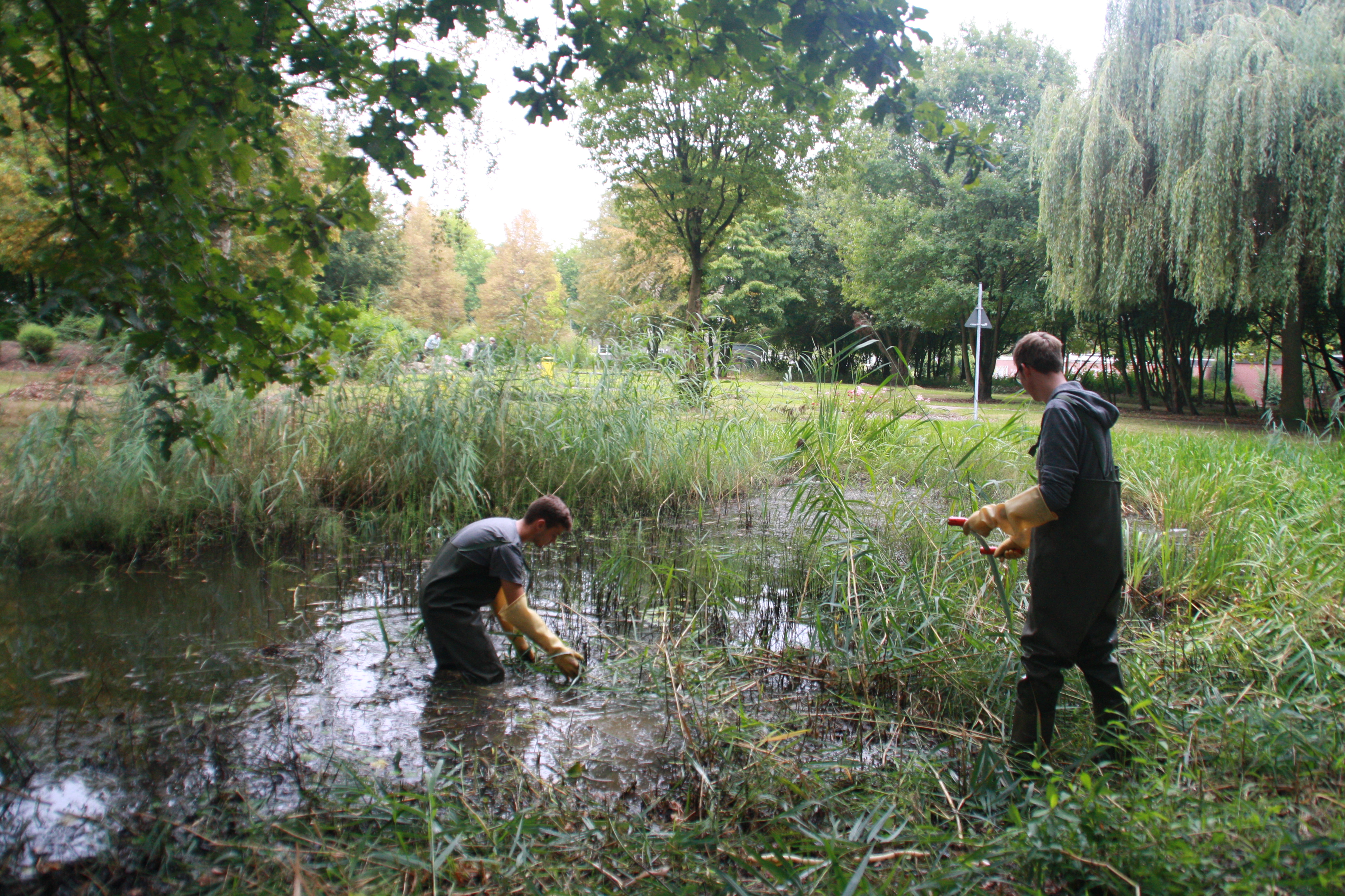 Arbeiten am Teich
