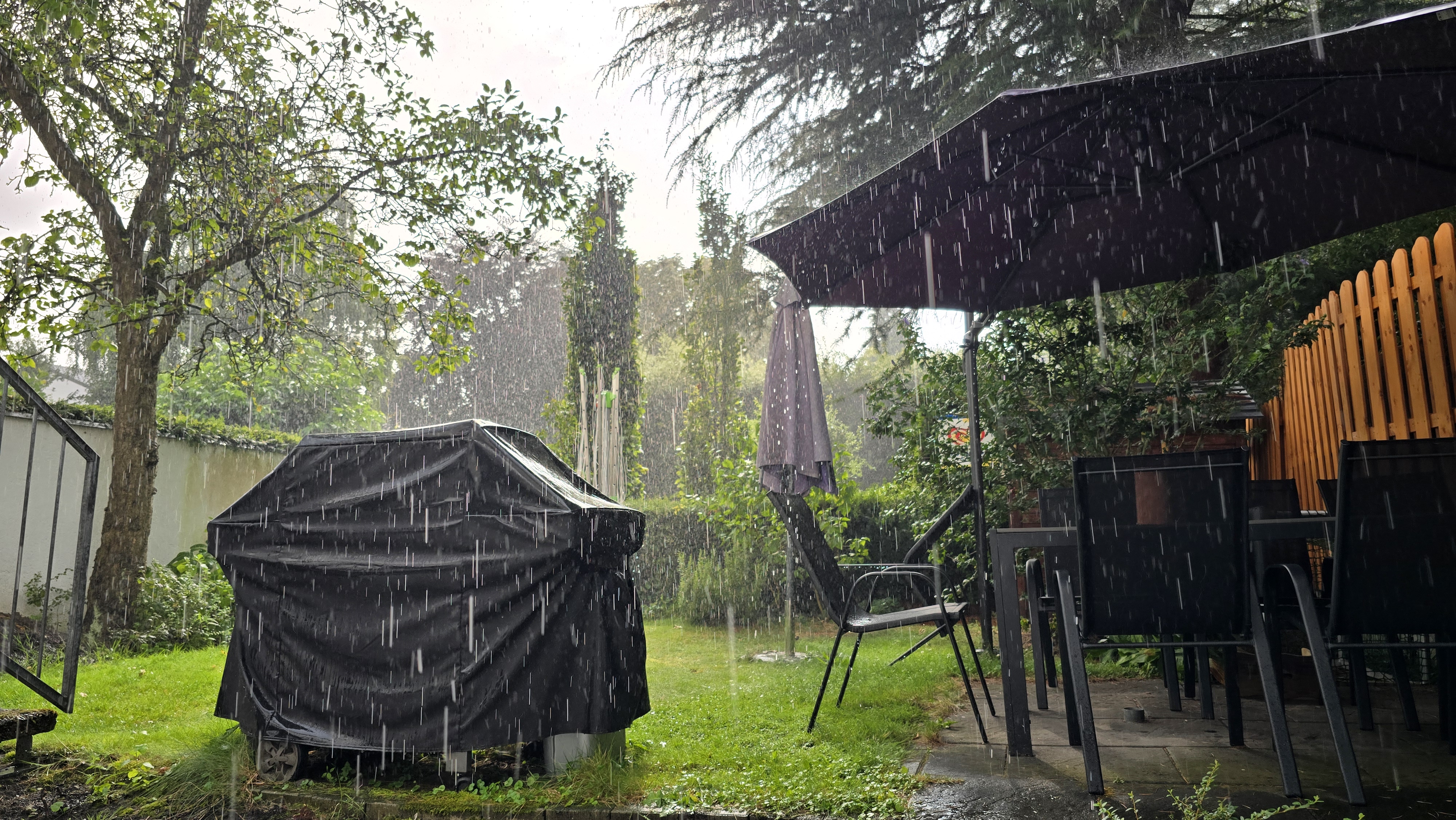 Regen