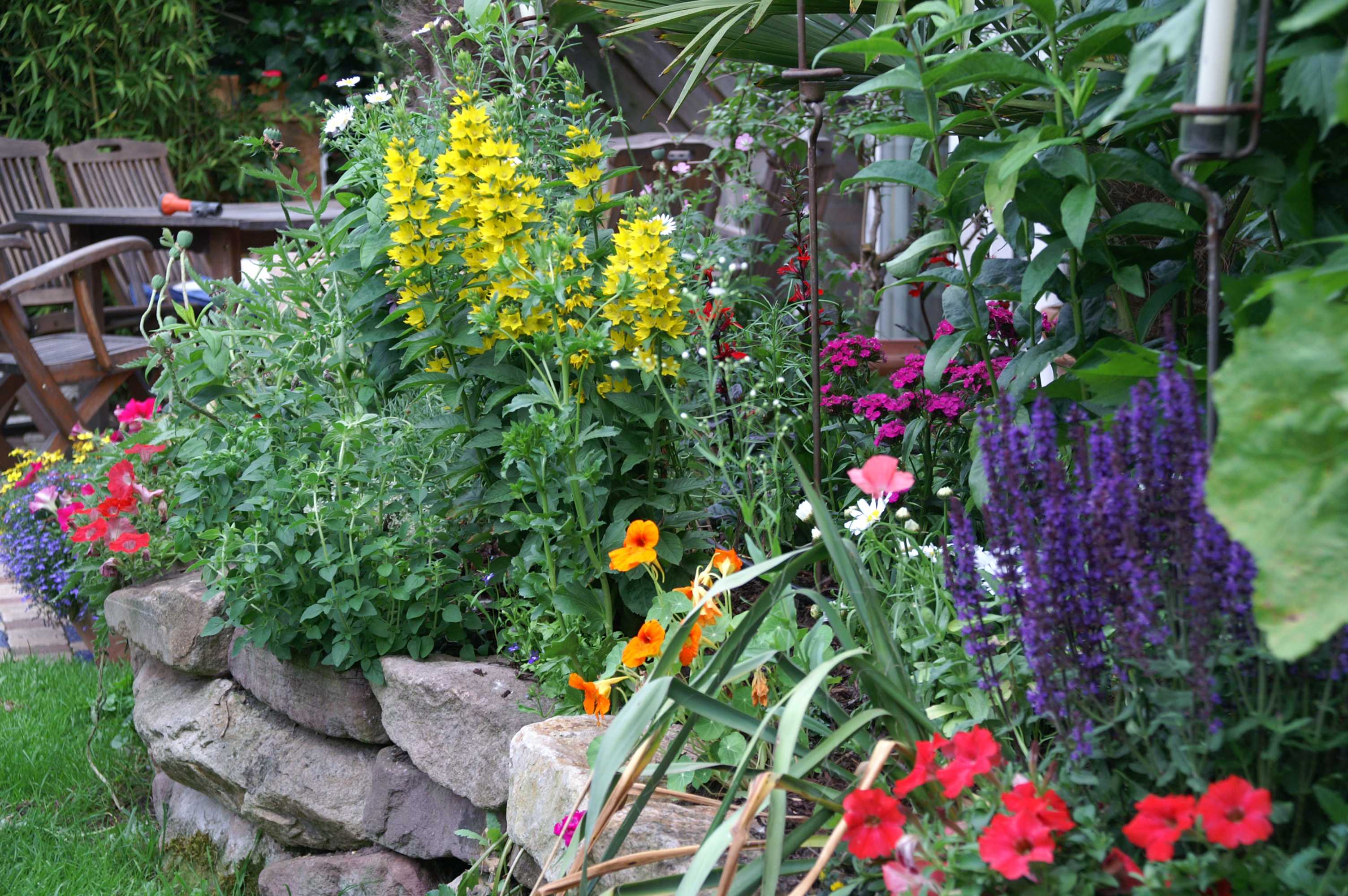 Ein buntes Blumen-Hochbeet in einem Garten