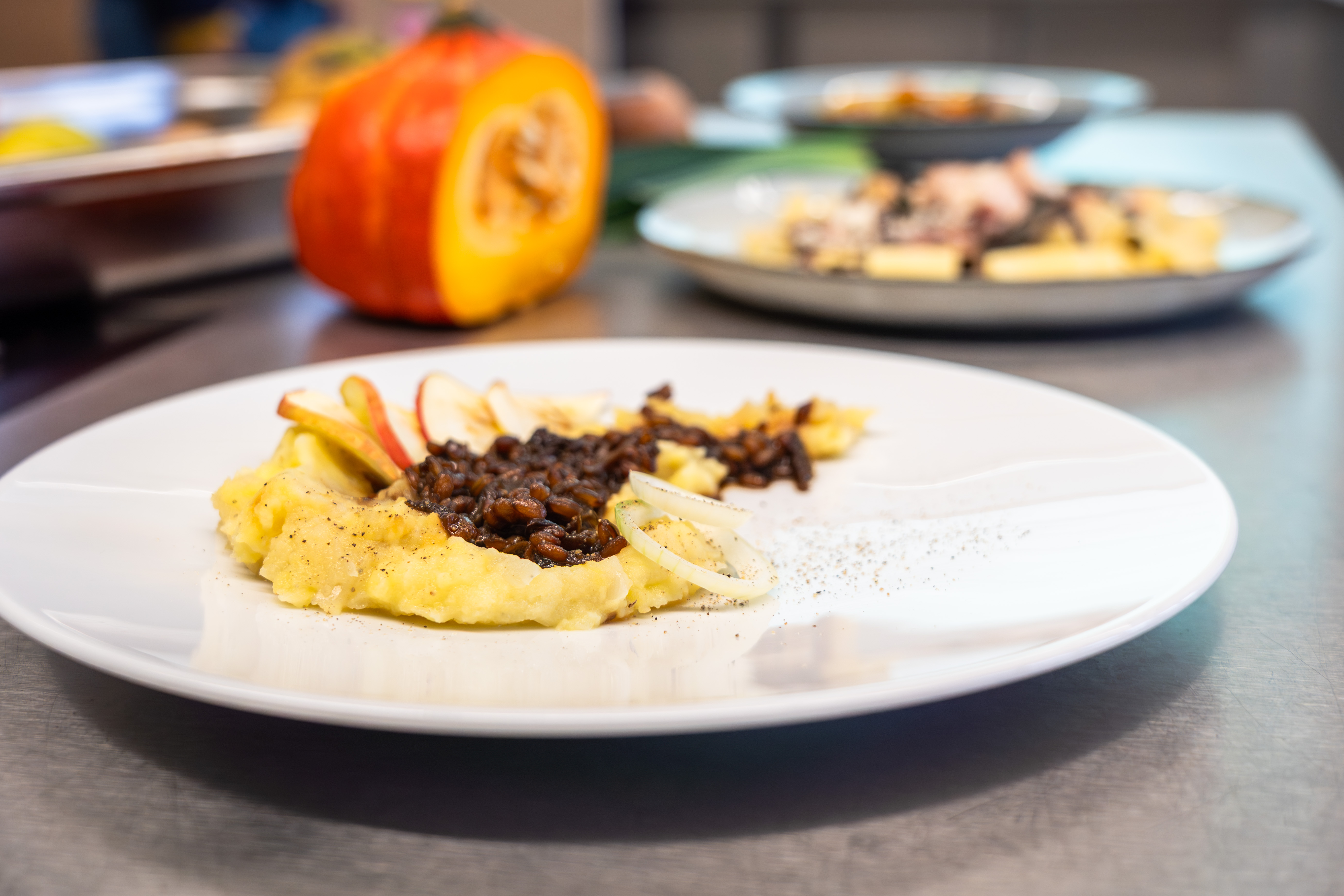 Die Aktionsgerichte im November 2025: Himmel & Erde, eine Mangold-Nudelpfanne und ein Kichererbsen-Curry.