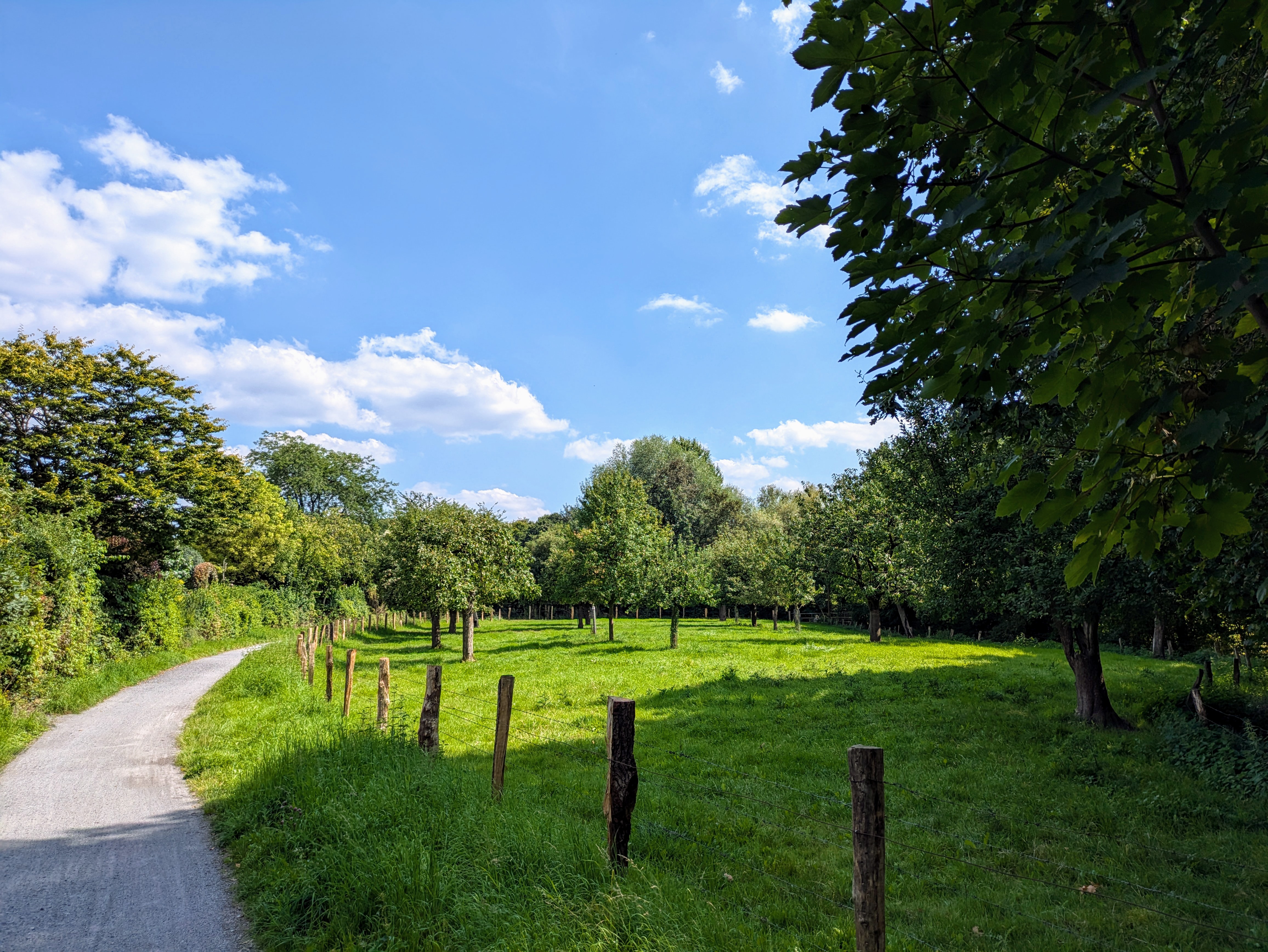 Gievenbeck Außenbereich