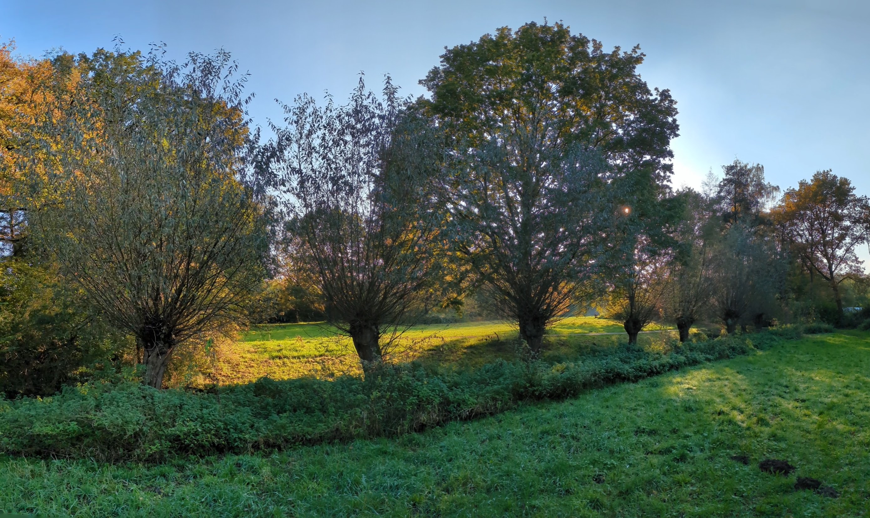 Wienburgpark