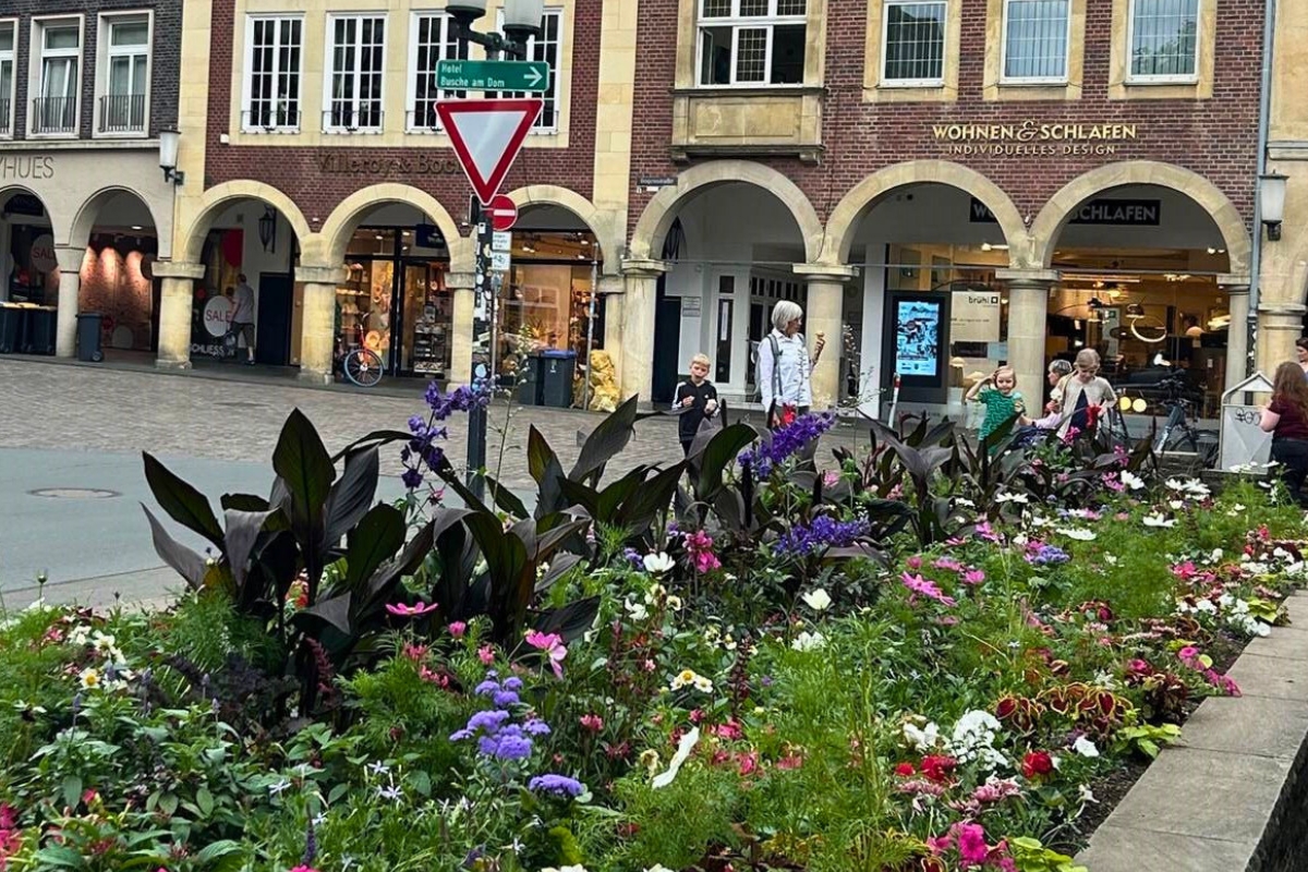 Das Becken des stillgelegten Brunnens an der Neubrückenstraße ist nun frisch mit Blumen bepflanzt. Im Bild sieht man den niedrige grüne Pflanzen, blühende Pflanzen und etwas höhere Stauden.