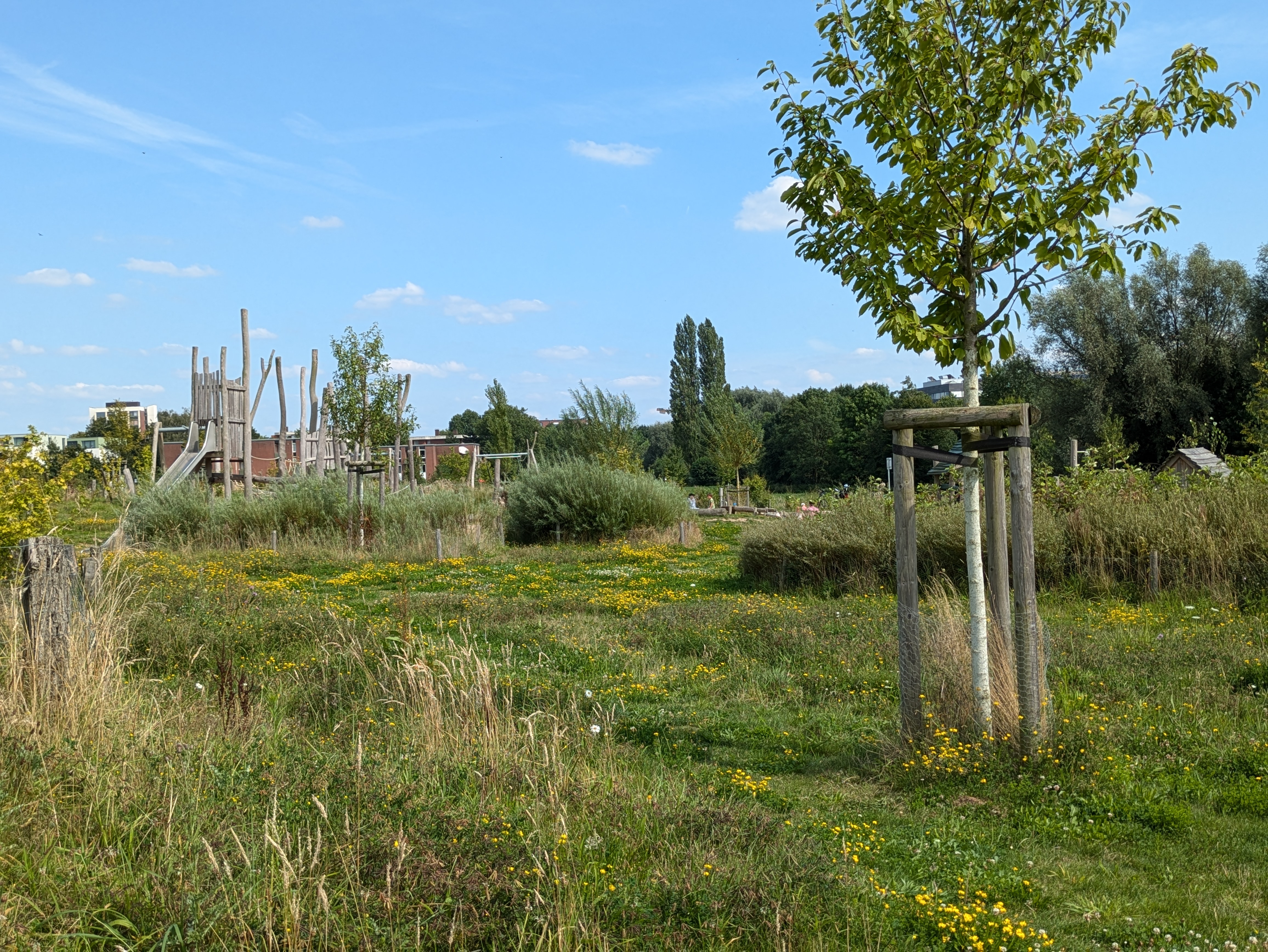 Grünfläche im Kinderbachtal (Gievenbeck)