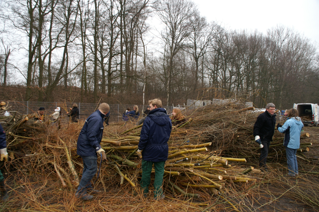 Weidenschnittgut wird am Betriebshof Höltenweg abgeholt