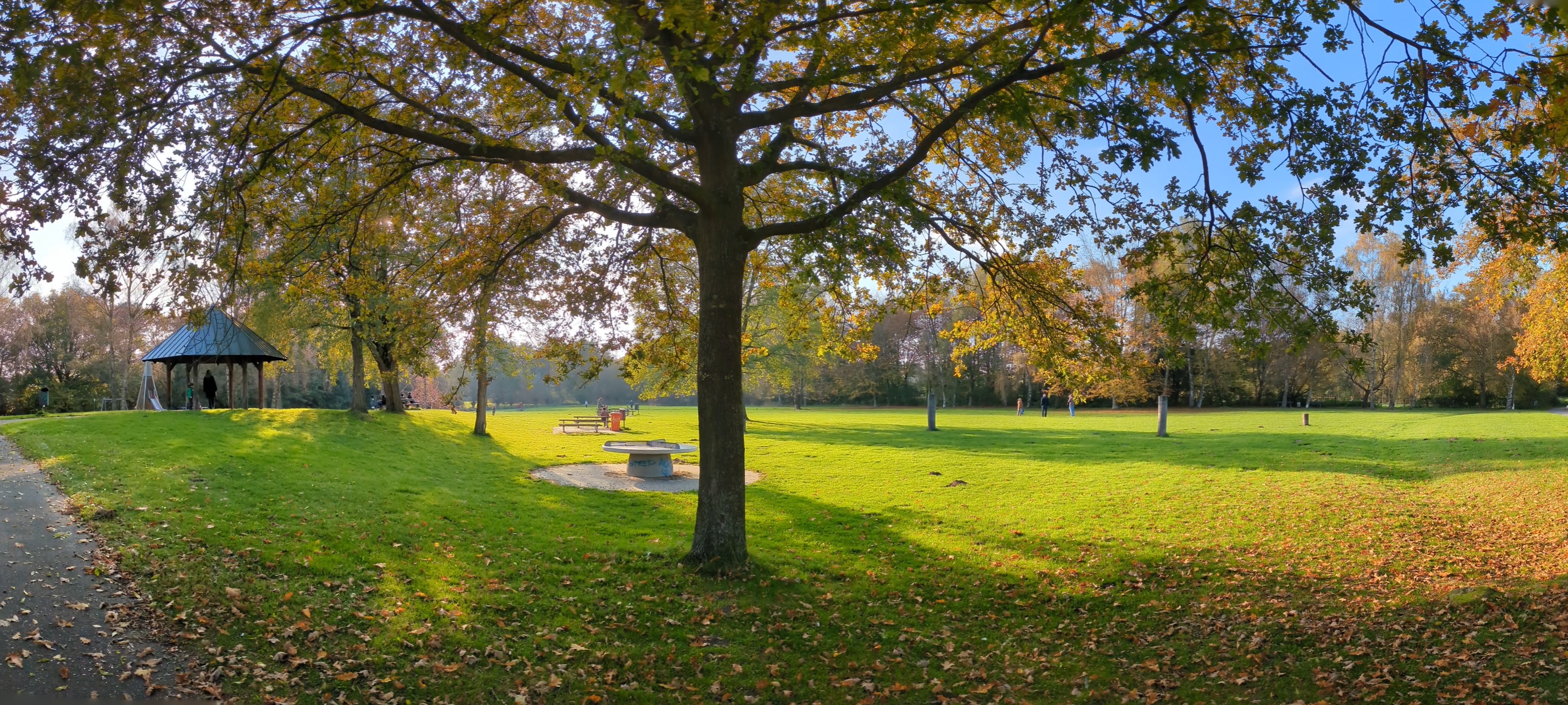 Wienburgpark im Herbst
