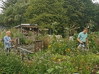 Gemeinschaftsgarten im Kulturquartier