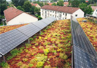 Foto: Stadt Münster Begrüntes Dach mit Photovoltaik-Anlagen.