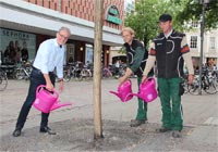 Drei Personen gießen einen kleinen Baum vor dem Stadthaus 1.