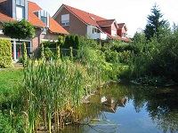 Teich im Garten eines Einfamilienhauses.