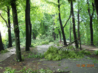 Sturmschäden auf der Promenade