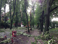 Sturmschäden in der Promenade infolge des Juli-Unwetters im Jahr 2014.