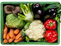 Saisonales, regionales und ökologisches Obst, Gemüse und andere Lebensmittel.