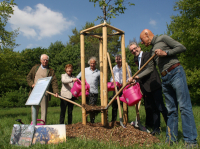 Baumpflanzung: Eine Gruppe von Personen mit einer Gießkanne an einem jungen Baum.