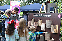 Baumarten-Ratespiel: Kinder vor einer Wand, an der unterschiedlich Baumstamm-Stücke angebracht sind.