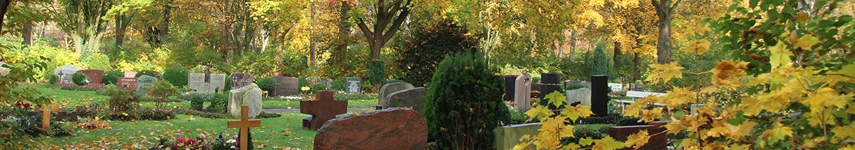 Gräber mit Grabsteinen unter herbstlich gefärbten Laubbäumen