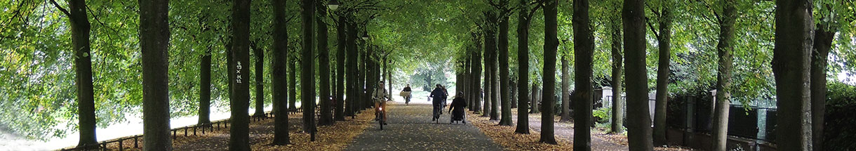 Allee mit breiter Fahrspur für Fahrräder