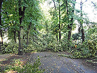 Promenade nach dem Juli-Unwetter