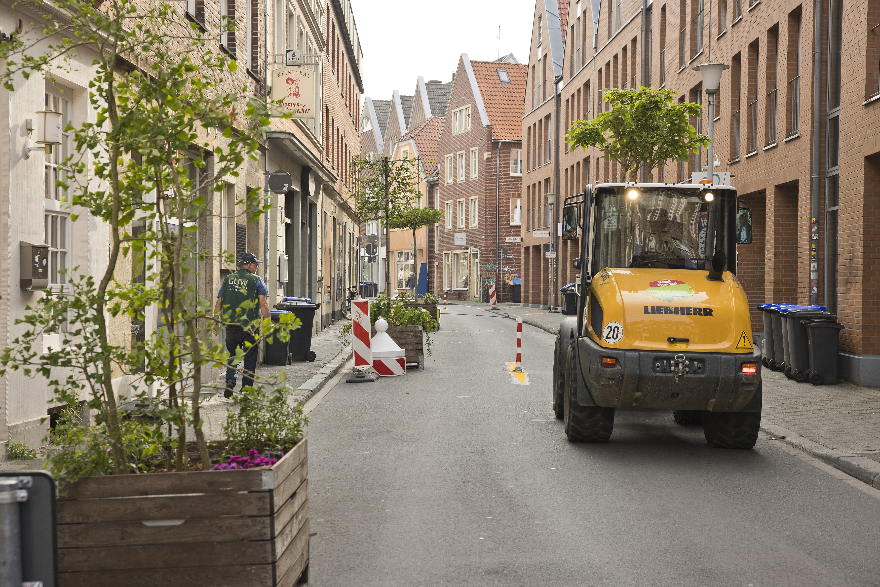 Begrünung der Hörsterstraße