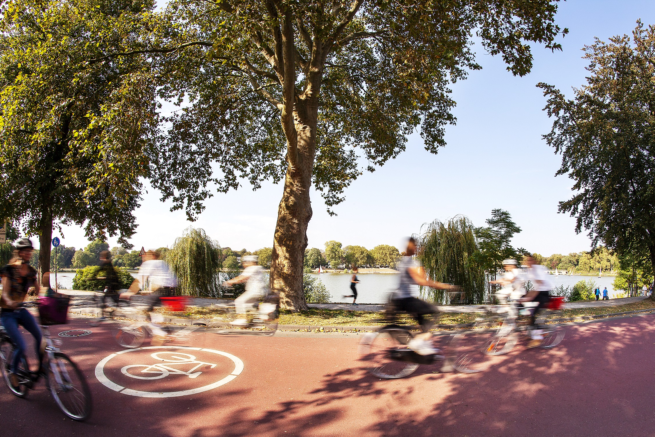 Radfahrende und Laufende vor dem Aasee im Sommer