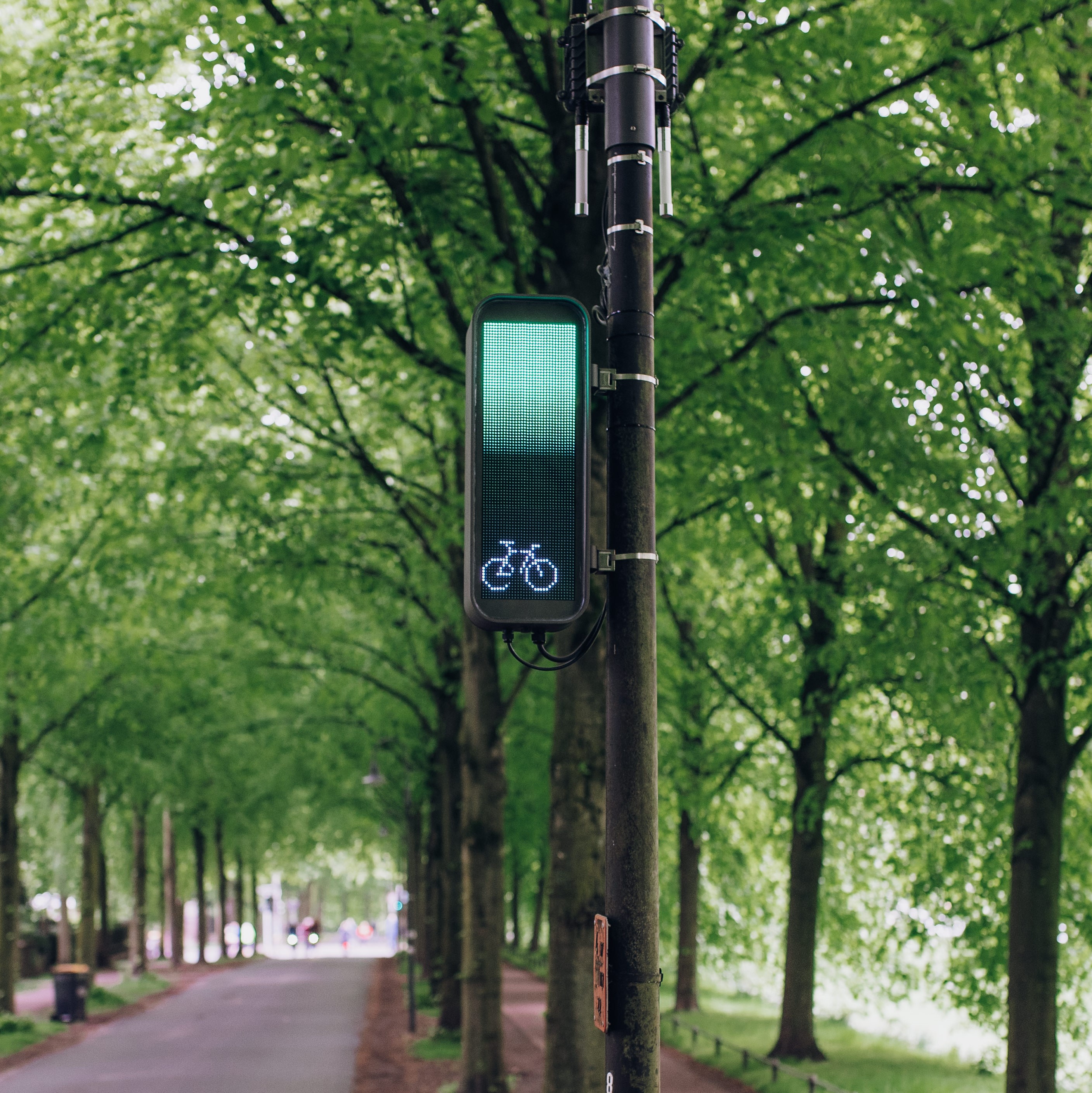 Smarte Fahrradampel an der Promenade in Münster