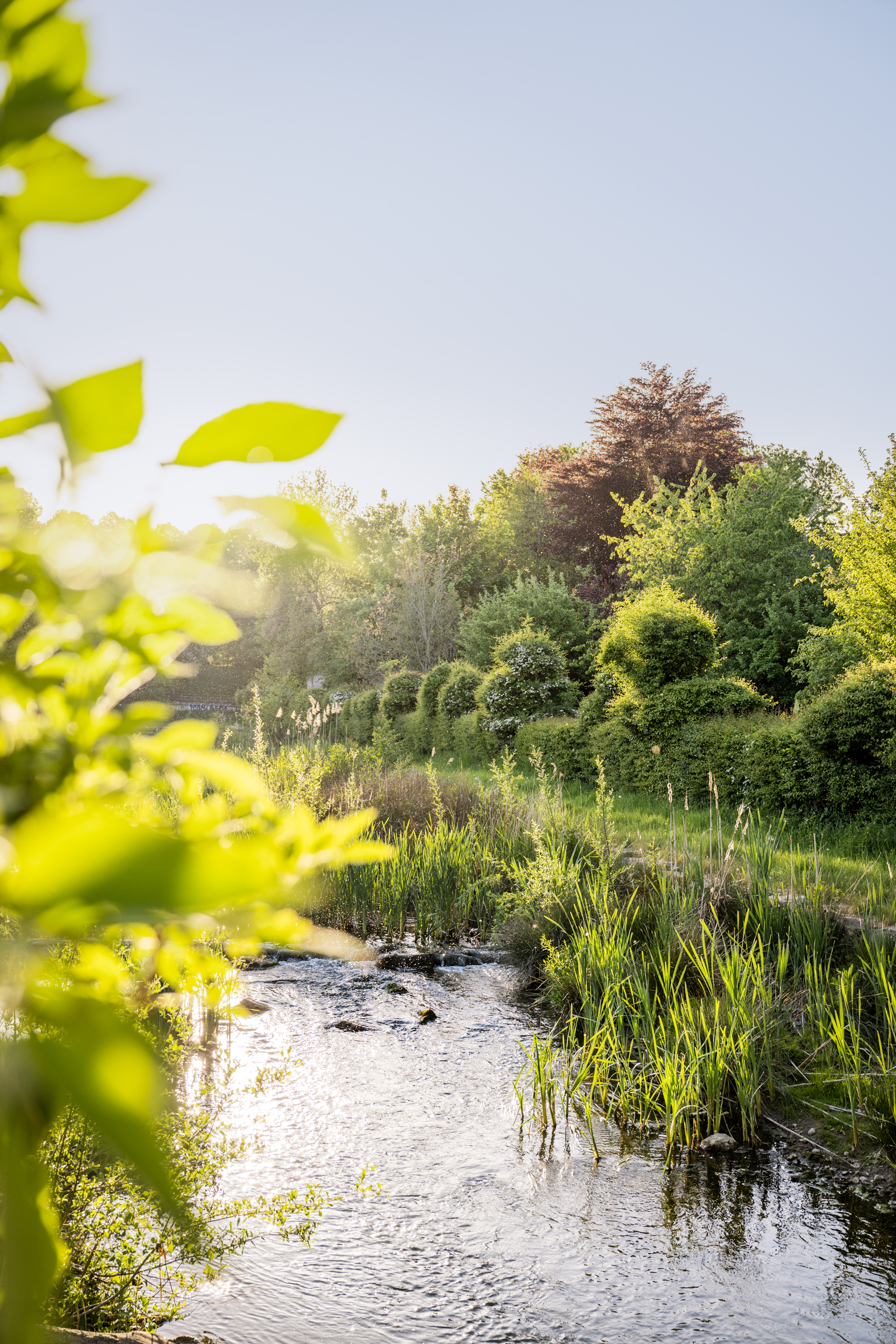 Westerholtsche Wiese in Münster im Sonnenschein.